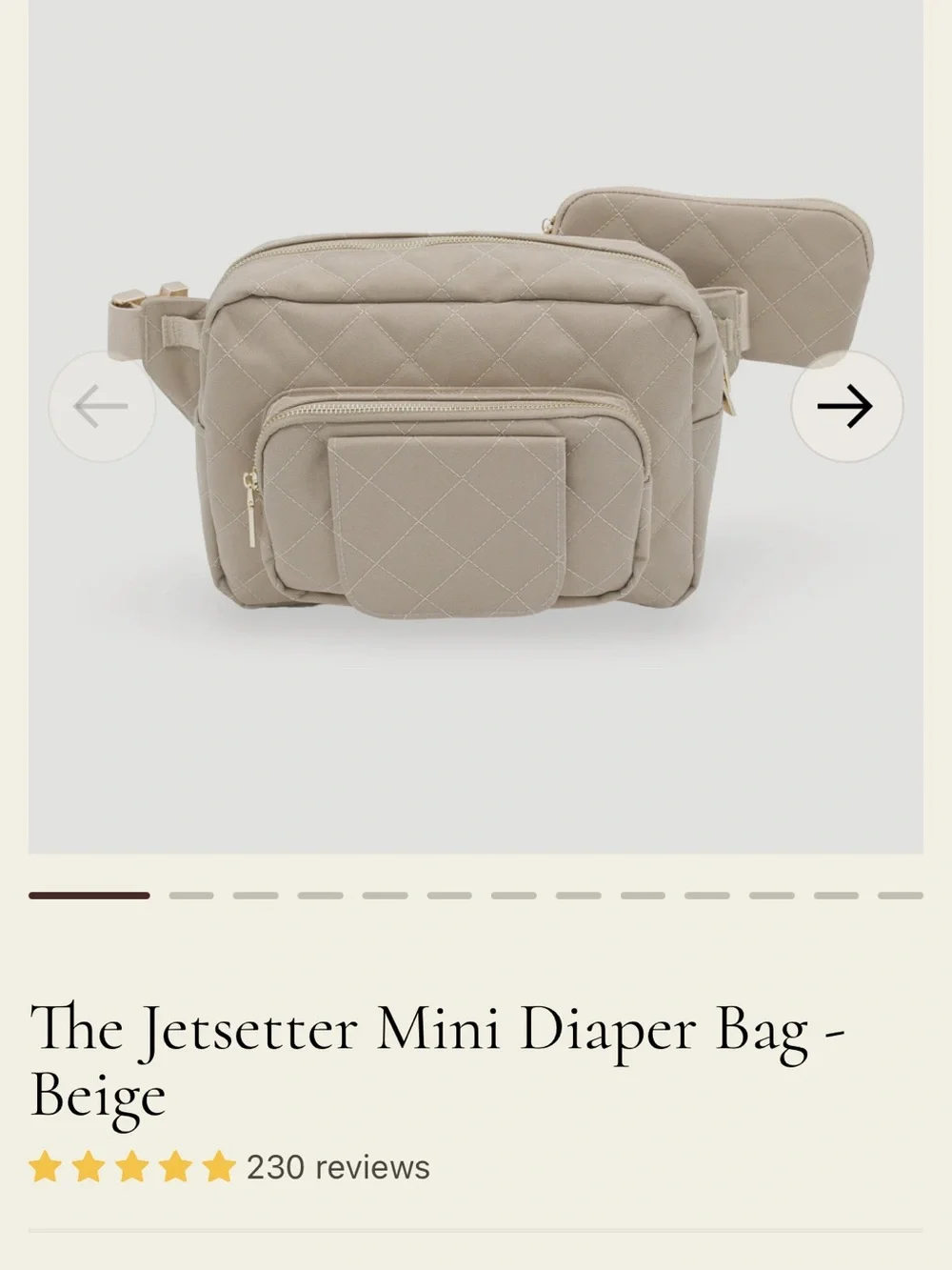 Lion & Light The Jetsetter Mini Diaper Bag - Beige